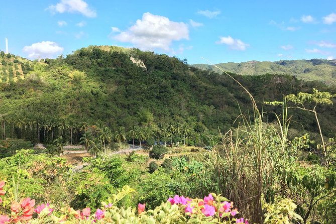 Cebu Safari and Adventure Park - Value for Money: Is $75 Worth It?