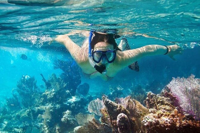 Cham Island Tour Snorkeling -Sunbathing - Nice Beach - Speedboat - The Food and Refreshments