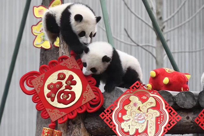 Chengdu Private Day Tour: Du jiang yan Panda Base and Qingcheng Mountain - Analyzing the Value