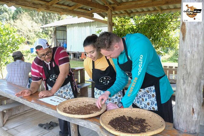 Chiang Mai Coffee Tour: Trekking to Farm, Roast and Brew Workshop - Why This Tour Is a Great Choice