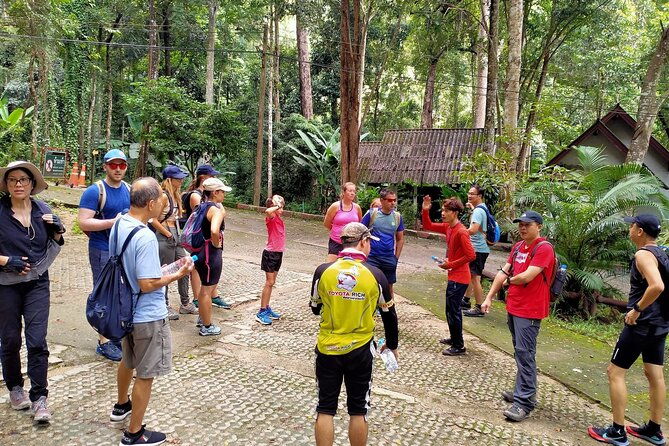 Chiang Mai: Doi Suthep Summit Trek  7 Hour Pure Hiking Adventure - Final Thoughts