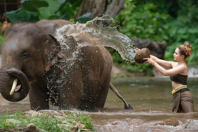 Chitwan National Park Tour - How the Experience Feels in Practice