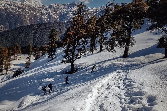 Chopta Trek - Why This Tour Offers Great Value