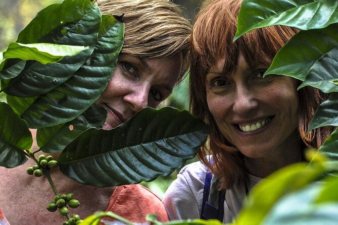 Classic Coorg Coffee Plantation experience - Authenticity and Review Insights