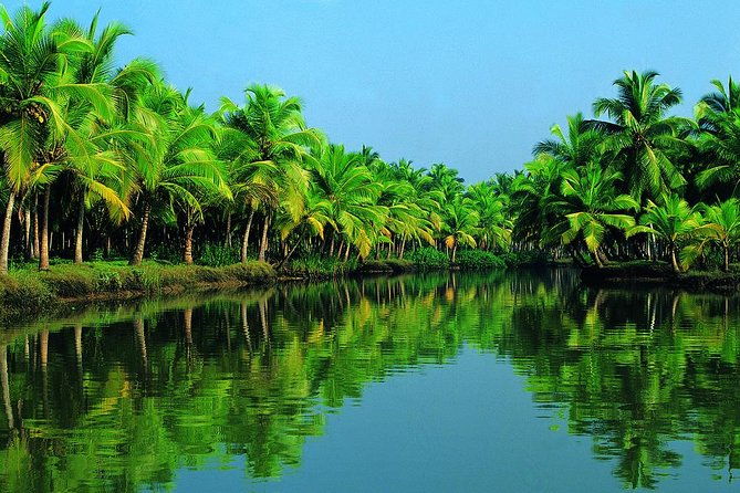 Cochin Shore Excursion: Backwater Houseboat Tour and Chinese Nets - The Itinerary Breakdown