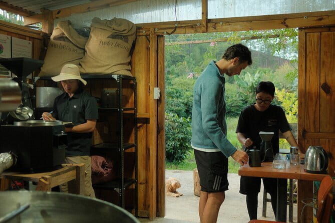 Coffee Farm Tour with Tasting and Workshop at Da Lat - What Could Be Better?