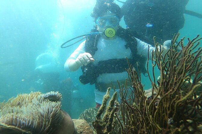 Coral Reef Snorkeling and Floating Bar Party from Nha Trang - What Sets This Tour Apart?