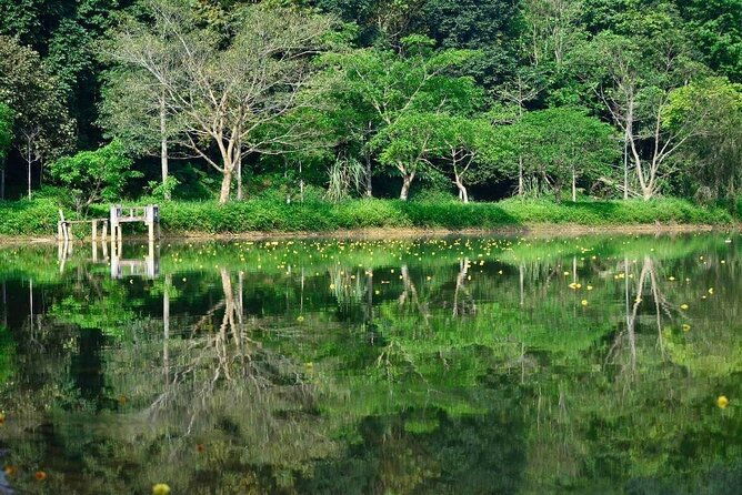 Cuc Phuong National Park Private Day Tour: Trekking & Primates - What Travelers Love About This Experience