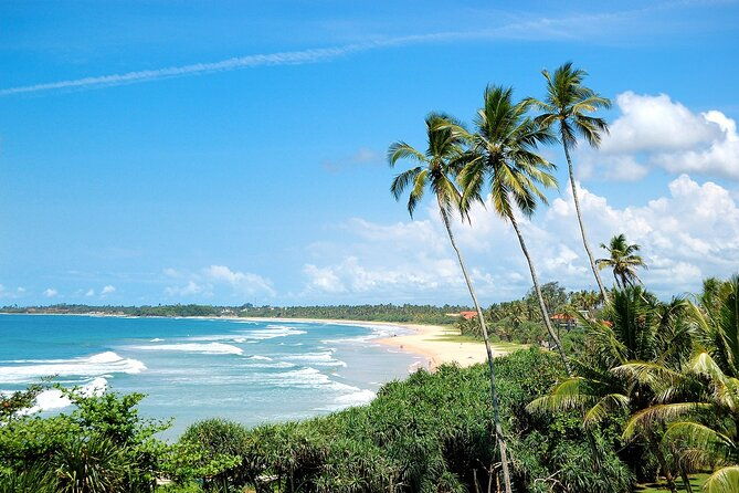 Customized 11-Day Flexible Sri Lanka Tour with Private Car - Breaking Down the Itinerary
