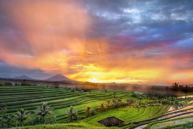 Customized Private Day Trip: Create your own tour itinerary - The Experience of a Private, Custom Tour
