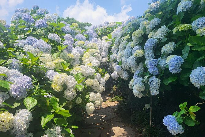 Customized private tour in Jeju island - Detailed Breakdown of the Itinerary Options
