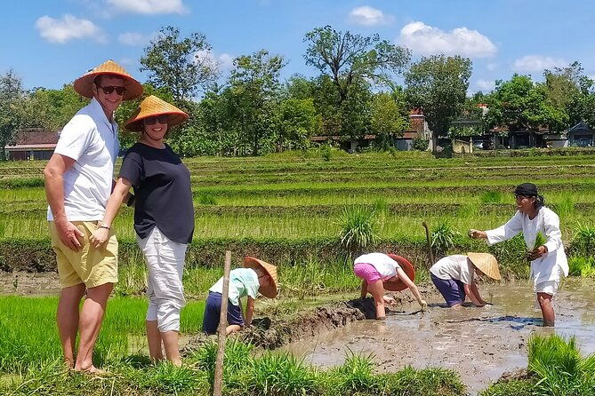 Cycling Tour in Yogyakarta with Lunch 3-Hour - Visiting Geblek Pari and the Rice Terrace Lunch