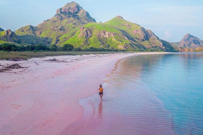 Daily Trip Highlight Komodo Archipelago by Speed Boat - Whats Included & Whats Not