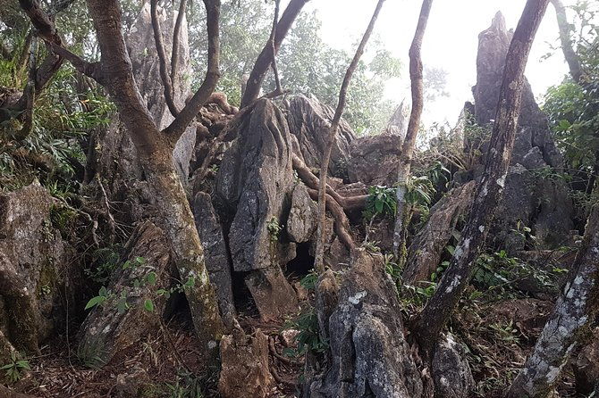 Day hike to Mount Daraitan with Tinipak River - Who Should Consider This Tour?