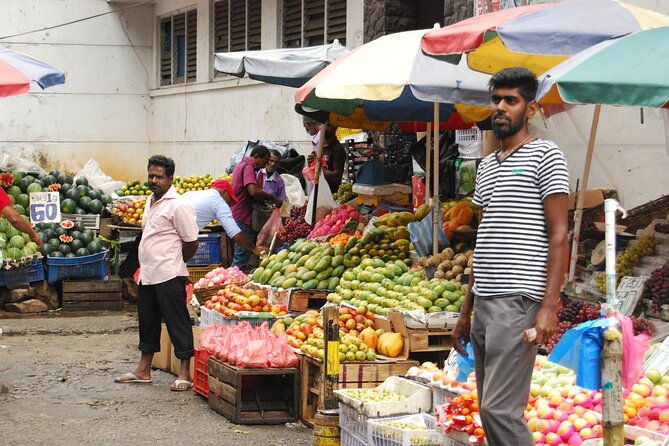 Day out to Galle[Stilt Fishing. Turtle watching.Cinnamon Farm] - Who Is This Tour Best For?