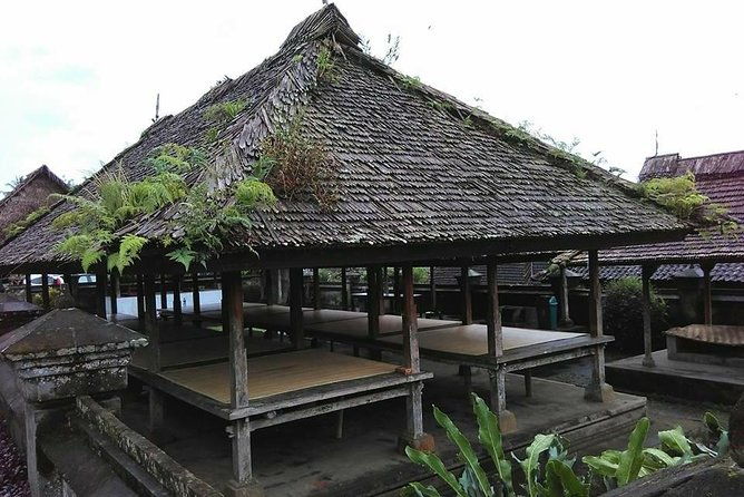 Day Tour with Sunrise and waterfall - Who Would Love This Tour?