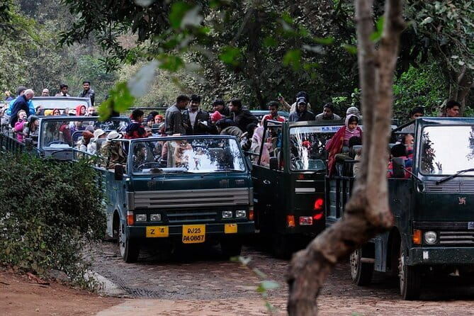 Day Trip from Jaipur to Ranthambore Safari - Why This Tour Works for Many Travelers