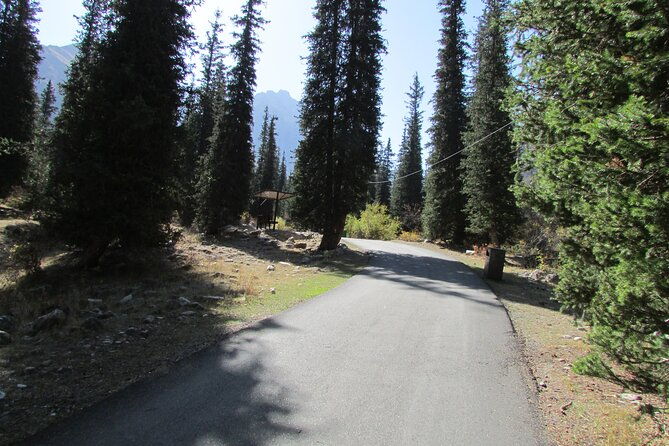 Day trip to Ala-Archa national park - Who Is This Tour Best For?