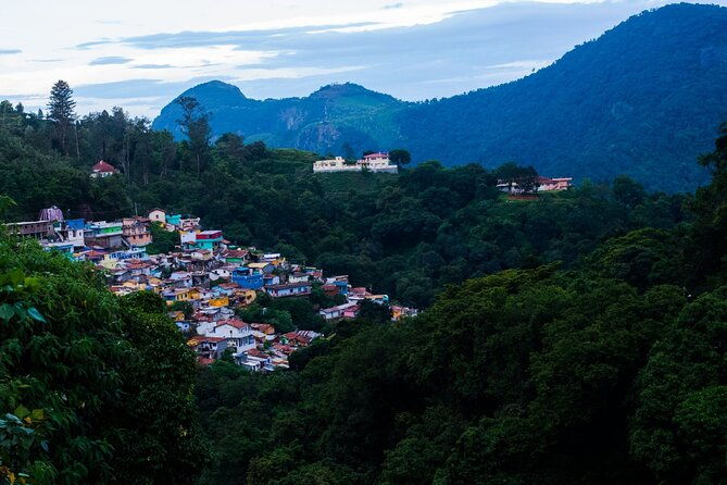 Day Trip to Coonoor (Guided Sightseeing Tour by Car from Ooty) - A Detailed Look at the Coonoor Day Trip