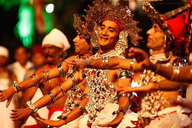 Day Trip to Kandy with Kingfisher Tours - Why This Tour Works for You