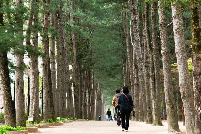 Day Trip to Nami Island with Rail bike and The Garden of Morning Calm - Exploring the Itinerary in Detail