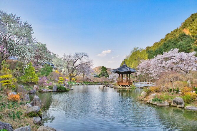 Day Trip to Nami Island with The Garden of Morning Calm - The Sum Up: Is It Worth It?