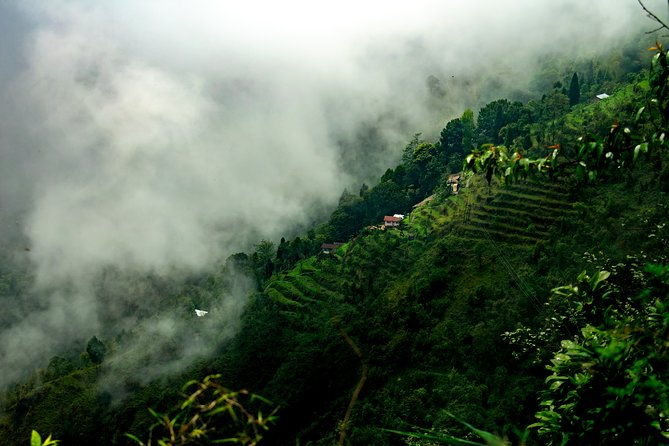 Day Trip to Singalila (Guided Private Sightseeing Experience from Darjeeling) - Whats Included and Whats Not