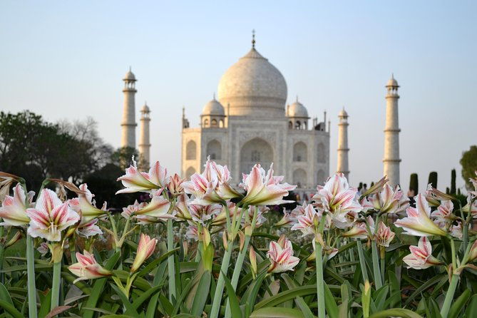 Day trip to Taj Mahal and Agra from Kochi with Return Flights - What Makes This Tour Stand Out?