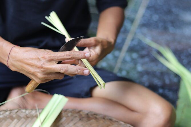 Day with a Balinese Family in a Village - Is This Tour Worth the Price?
