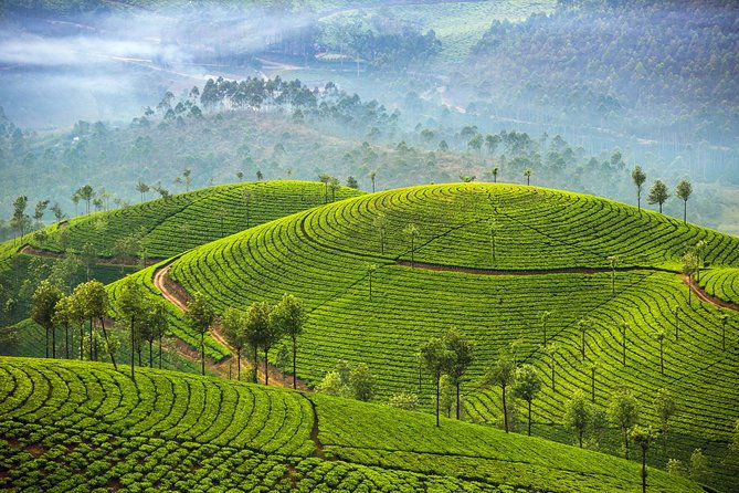 Deep South of India - Kerala and Tamil Nadul - Day-by-Day Breakdown: What to Expect