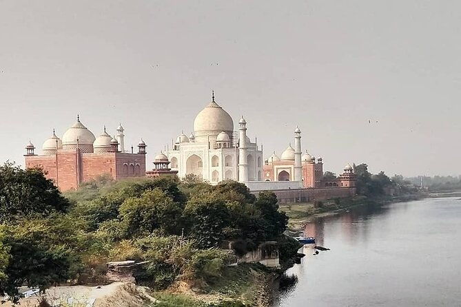 DELHI - AGRA TOUR (3 Nights /4 Days) - Authentic Experiences and Reviewer Insights