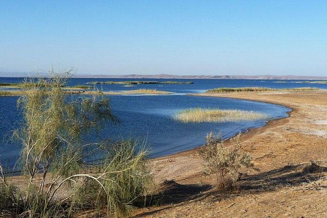 Desert Yurt Camp tour - 2 days (shared) - Practical Details and Tips