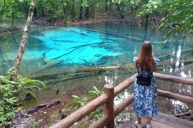 Discover Krabi - Emerald Pool, Hot Springs & Tiger Cave Temple - What Makes This Tour Stand Out?