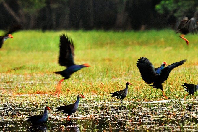 Discover Lung Ngoc Hoang Nature Reserve - The Sum Up