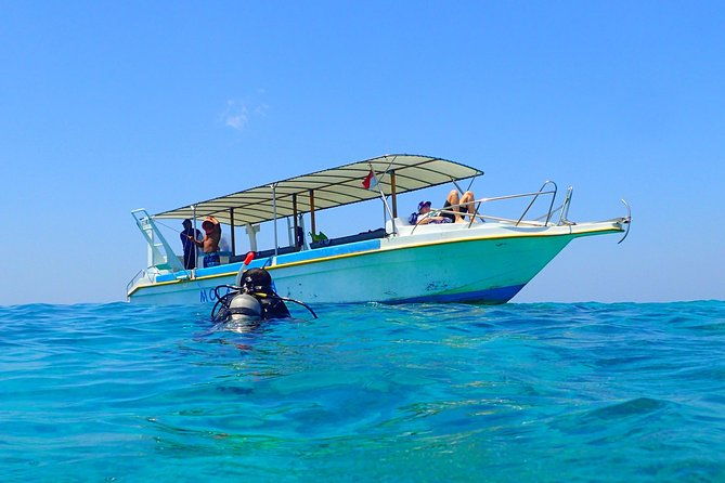 Discover Scuba Diving and dive in Menjangan Island Marine Park 2 dives - Practical Details and Tips