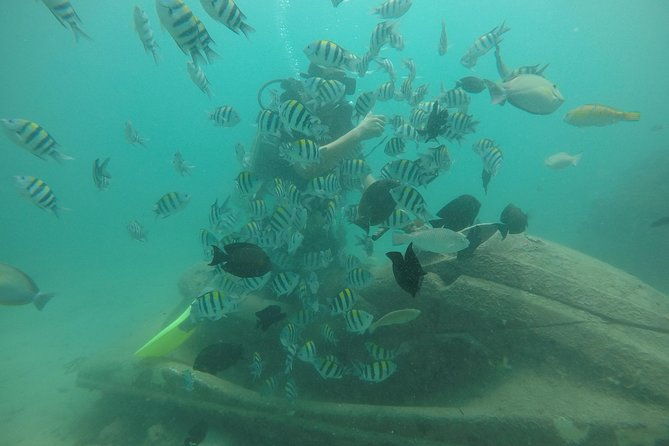 Discover Scuba Diving ( beginners) Combined With Jet Ski - The Inclusions and Practical Details