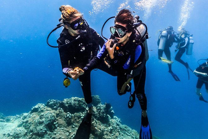 Discover Scuba Diving in Pemuteran - Diving Initiation in Bali (Menjangan Park) - An In-Depth Look at the Experience