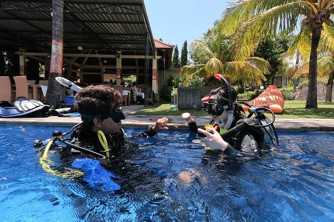 Discover Scuba Diving Tulamben Bali For Non-Certified Divers - What’s Included and What You Should Know