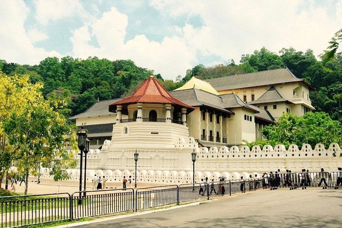 Discover Sri Lankan Beauty - 12 Days - What Makes This Tour a Great Choice?