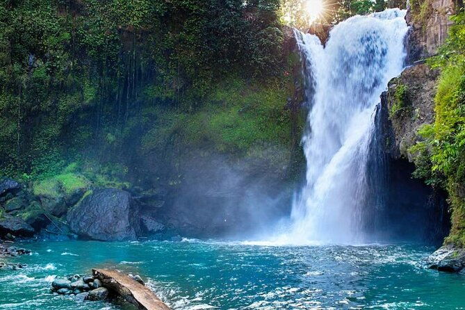 Discover Ubud: Exotism Ubud and Optional Meet the Bali Shaman - Who Should Consider This Tour?