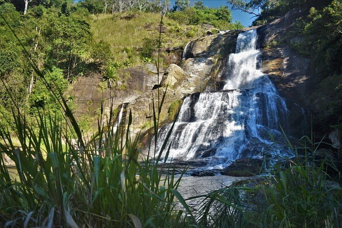 Diyaluma Waterfall and Natural Pool Bath With Lunch - Detailed Breakdown of the Itinerary