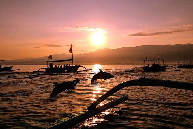 Dolphin Watching Tour, Swimming with Dolphins and Snorkeling - Authentic Experiences and Honest Insights from Reviewers