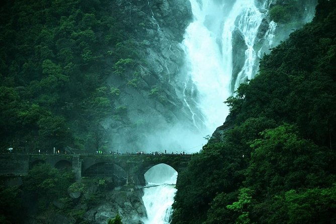 Dudhsagar- The Other Side of GOA - Deep Dive into the Experience