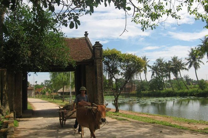 Duong Lam Ancient Village Private Tour - Who Is This Tour Best Suited For?
