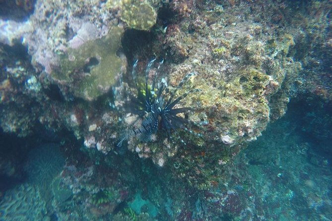 East Bali Spear Or Line Fishing Tour At Virgin Beach - The Experience: What Travelers Love