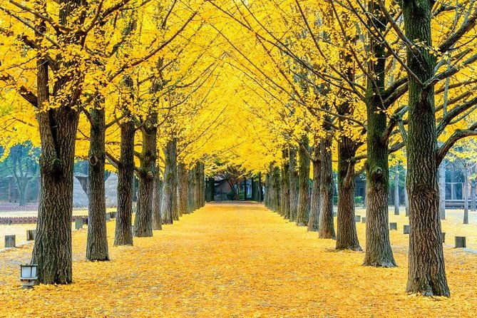 Easy private tour to Nami Island, Garden of Morning Calm - Who Is This Tour Best For?