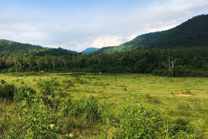 Elephant and Animal Watching in Kuiburi National Park - Join Afternoon Tour - The Local Flavor and Dinner Experience