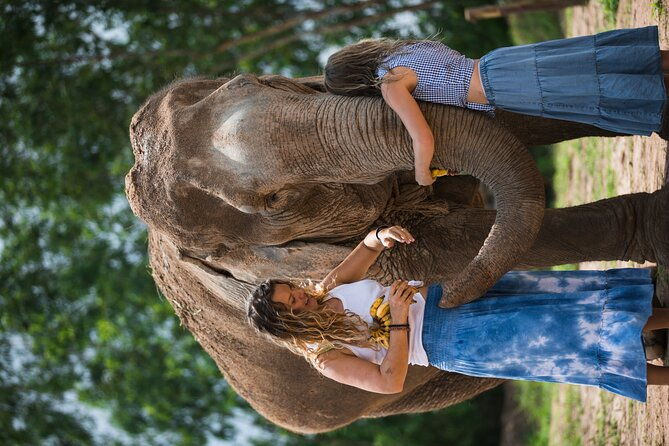 Elephant Jungle Sanctuary: Half Day Afternoon Program - The Practicalities: Transportation, Timing, and Cost
