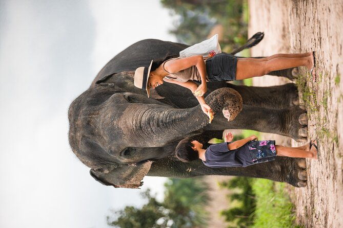 Elephant Jungle Sanctuary: Half Day Morning Program - Who Is This Tour Best For?
