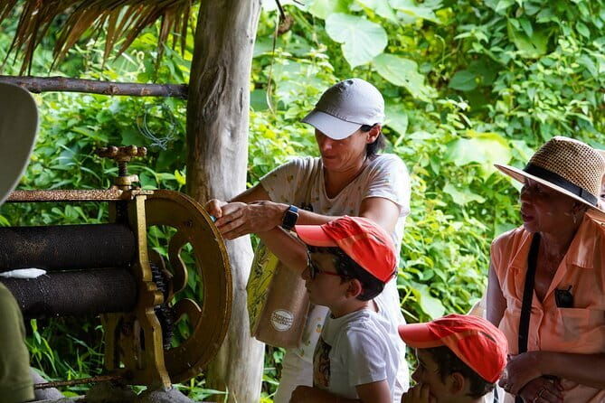 Elephant Nature Experience with Lunch at Bukit Elephant Park - Final Thoughts: Who is This Tour Perfect For?